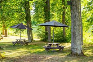 阿尼克什奇艾Burbiskio dvaras的公园内两张带遮阳伞的野餐桌