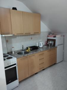 科尼茨Apartman Šljivo的厨房配有水槽和炉灶