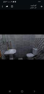 阿斯旺Labib Guest House的浴室配有白色卫生间和盥洗盆。