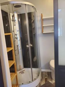 桑特Chaillot 1的带淋浴和卫生间的浴室