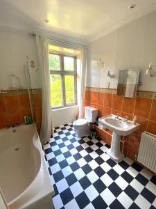 彼得伯勒Thornhaugh Old Rectory的一间带水槽、浴缸和卫生间的浴室