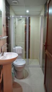 Meriç butik otel的浴室配有卫生间、淋浴和盥洗盆。