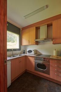 阿尔普Hauzify I Apartament Bella Molina的厨房配有木制橱柜、水槽和炉灶。