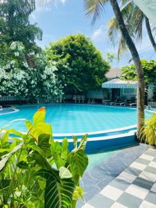 WatumullaHotel Mount Lanka的前面有一个种植了棕榈树的蓝色游泳池