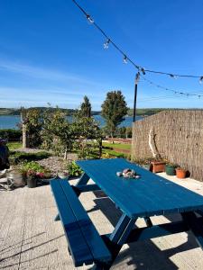 米德尔顿Harbour view retreat Cró na mbó的一张蓝色野餐桌,上面有一只猫