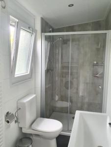 皮滕Knus chalet Heidebloem的带淋浴、卫生间和盥洗盆的浴室