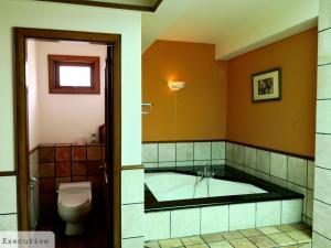 波德申Alpine LXPD Water Chalet的带浴缸和卫生间的浴室。
