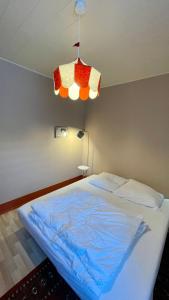 艾本施托克Ferienwohnung Ida Pfeiffer的一间卧室配有一张床和一个吊灯