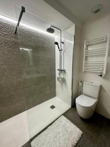 潘普洛纳Premium piso @Plaza del Castillo的一间带卫生间和玻璃淋浴间的浴室