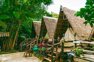 森莫诺隆Mondulkiri Pizza Bungalows的一组帐篷,前面有植物