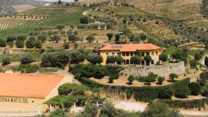 比索达雷加Quinta Dona Matilde的葡萄园内房屋的空中景观