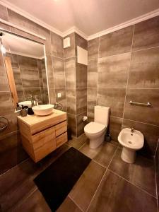 埃里塞拉Ribeira DIlhas Beach Apartment的浴室设有卫生间、水槽和卫生间。
