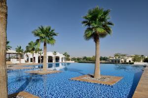 利雅德InterContinental Durrat Al Riyadh Resort & Spa, an IHG Hotel的度假村内棕榈树游泳池