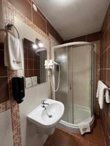 捷尔诺波尔帕拉达酒店 的一间带水槽、淋浴和卫生间的浴室