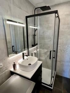 安锡Appartement centre-ville Annecy的一间带水槽和玻璃淋浴的浴室