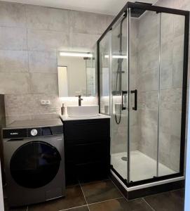安锡Appartement centre-ville Annecy的带淋浴、盥洗盆和洗衣机的浴室