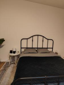 TemseMica beauty & wellness center的一间卧室配有一张带黑色金属床头板的床