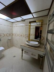 巴库Genclik的一间带水槽和镜子的浴室