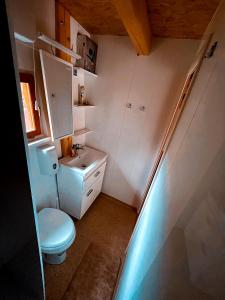 Velika LokaKoča Janka in Metke的一间带卫生间和水槽的小浴室