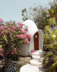 特鲁卡那拉特Villa Dreamdome的一个小房子,有门和一些粉红色的花