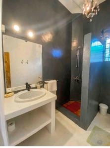 马林迪Malindivillabaobab的浴室配有盥洗盆和带镜子的淋浴