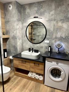 新松奇Beskid Apartamenty的一间带水槽和洗衣机的浴室