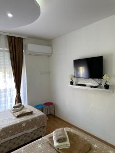 克鲁舍瓦茨Hostel Gray的一间卧室配有一张床和一台平面电视