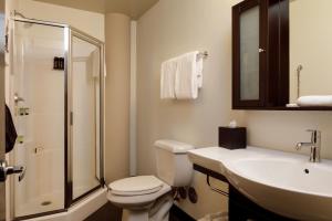 查塔努加Hotel Clemons的浴室配有卫生间、盥洗盆和淋浴。