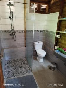勒弗朗索瓦La petite sucrerie的一间带卫生间和淋浴的浴室