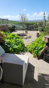 伊泽芳登Pause Studio Room Yzerfontein的一个带柳条凳子和一些植物的花园