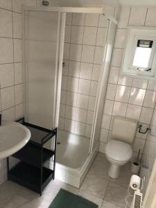 HattemerbroekVrijstaand Chalet in Bospark的带淋浴、卫生间和盥洗盆的浴室