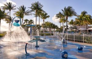 迈阿密The Ritz Carlton Key Biscayne, Miami的棕榈树公园中的喷泉