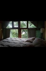 埃尔奥约Cabaña con Costa de Rio的卧室内的一张床位,带窗户