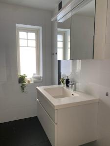 博尔斯塔Ett rum & kök的白色的浴室设有水槽和镜子
