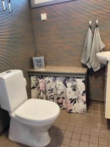 Puuppola Kotikoivu的浴室配有白色卫生间和盥洗盆。