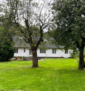 Hærvejshuset的院子里两棵树的白色房子