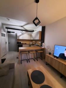 斯诺科Aparthouse Zegrze的带沙发和桌子的客厅以及厨房。