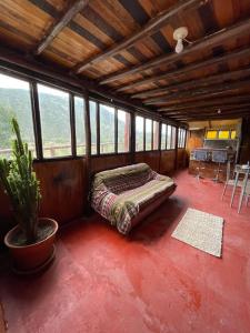 库斯科Ecolodge las tunas的一间设有床铺的卧室,位于带窗户的房间内