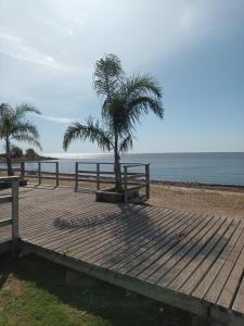 维森特洛佩斯El atelier的海滩上种有棕榈树的木甲板