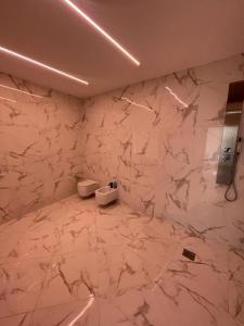 托尔托纳Appartamento Tortona的浴室设有大理石墙和卫生间