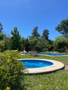 拉巴斯don isidro cabaña alta的公园草地上的小型游泳池