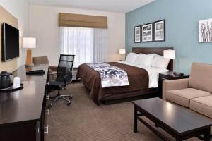 梅里迪恩司丽普套房酒店的配有一张床和一张书桌的酒店客房