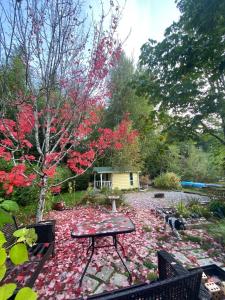 考伊琴湖Beaver Lake Resort Site #36的花园里的野餐桌,花园里的红色树叶在地上