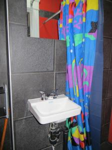 魁北克市Auberge Jeunesse La Belle Planete Backpackers Hostel的一间带水槽和淋浴帘的浴室