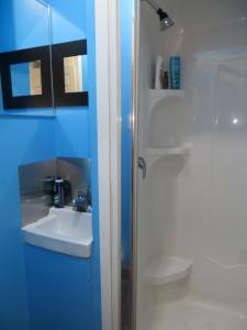 魁北克市Auberge Jeunesse La Belle Planete Backpackers Hostel的蓝色的浴室设有水槽和淋浴