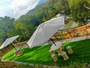 峇冬加里The Hillock @ Hulu Tamu的两把白色的伞,坐在绿色的田野上