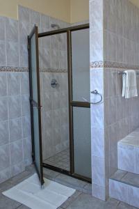 哈拉雷Unique Bed and Breakfast的浴室里设有玻璃门淋浴
