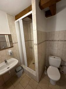 阿斯Hotel U Radnice Aš的带淋浴、卫生间和盥洗盆的浴室