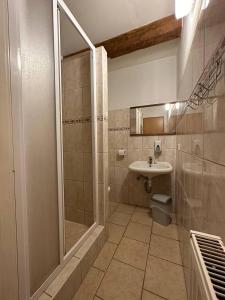 阿斯Hotel U Radnice Aš的带淋浴和盥洗盆的浴室