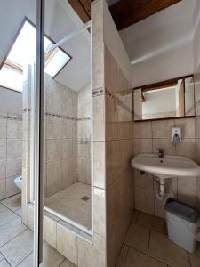 阿斯Hotel U Radnice Aš的带淋浴、盥洗盆和卫生间的浴室